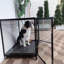 Chenil pour animaux en verre trempé innovant-1306434875-1306434868