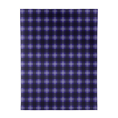Plaid Indoor Rug