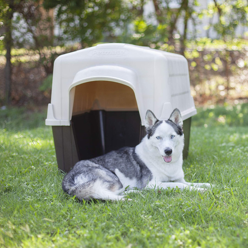 Niche pour chien 3 petbarn Aurora, H 24 po x l 26 po x P 32 po, Brun