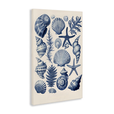 Toile de la collection Conch & Creature, design par LSR Design Studio