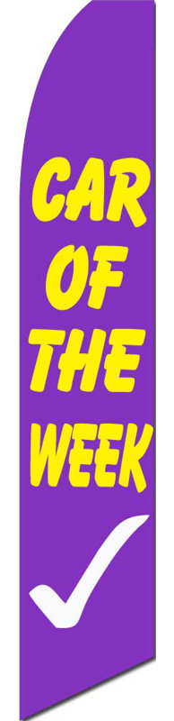 Double Sided 138'' H x 30'' W Polyester Feather Banner