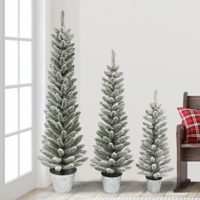 60' Lighted Pine Christmas Tree