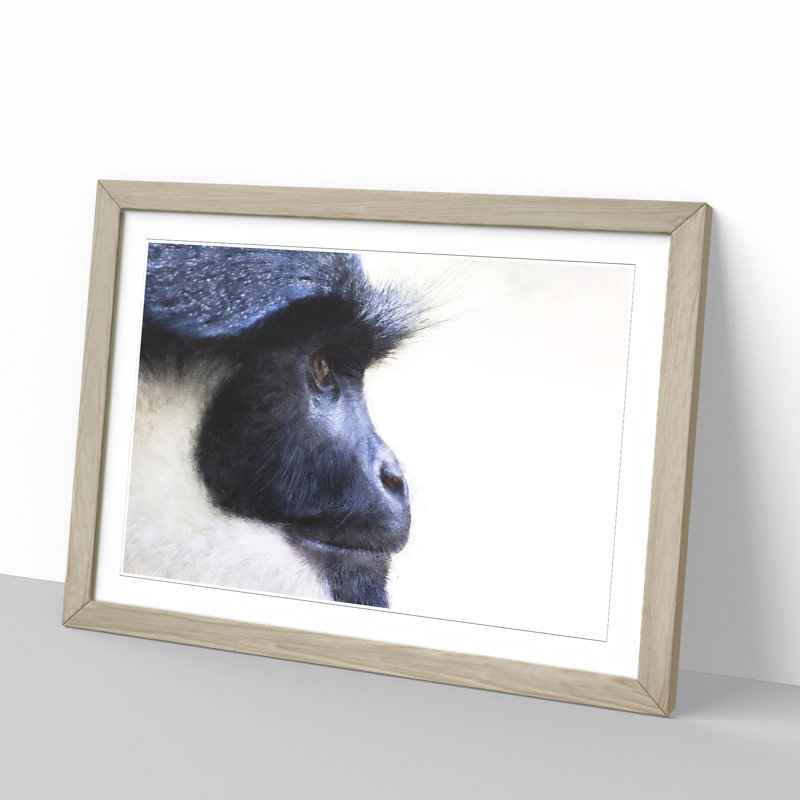 Colobus Monkey - Picture Frame Graphic Art, Oak Framed, 48cm H x 65cm W x 2cm D