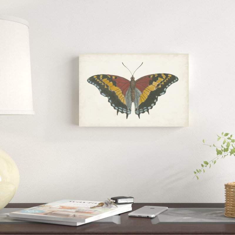 " Beautiful Butterfly IV " by Vision Studio Painting Print, 8" H x 12" W