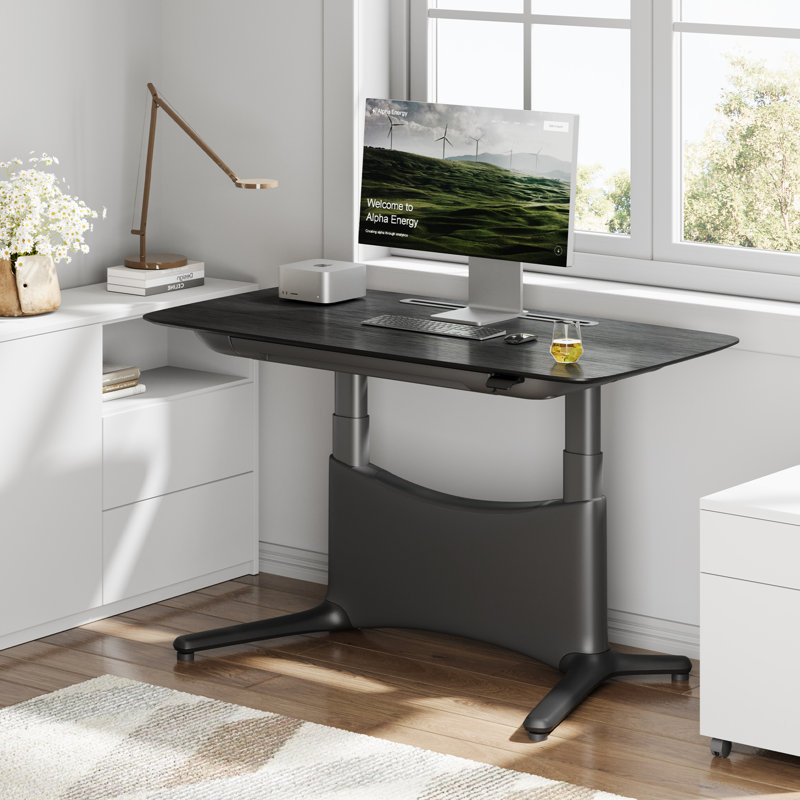 Electric Height Adjustable Desk--Solid Wood Workspace with Hidden Storage, Black, Black