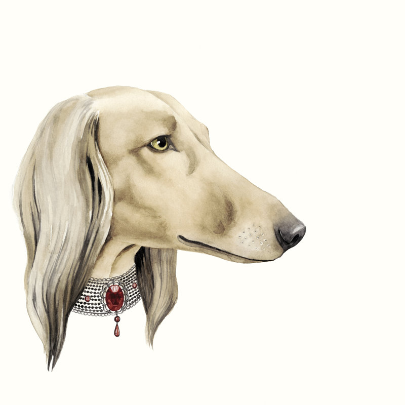 Haute Hounds IV 1 Piece Wrapped Canvas Painting, 122cm H x 122cm W