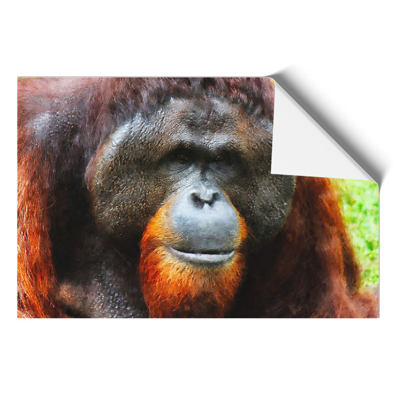 Orangutan Monkey Painting - Frameless Print, 21cm H x 30cm W x 0.1cm D