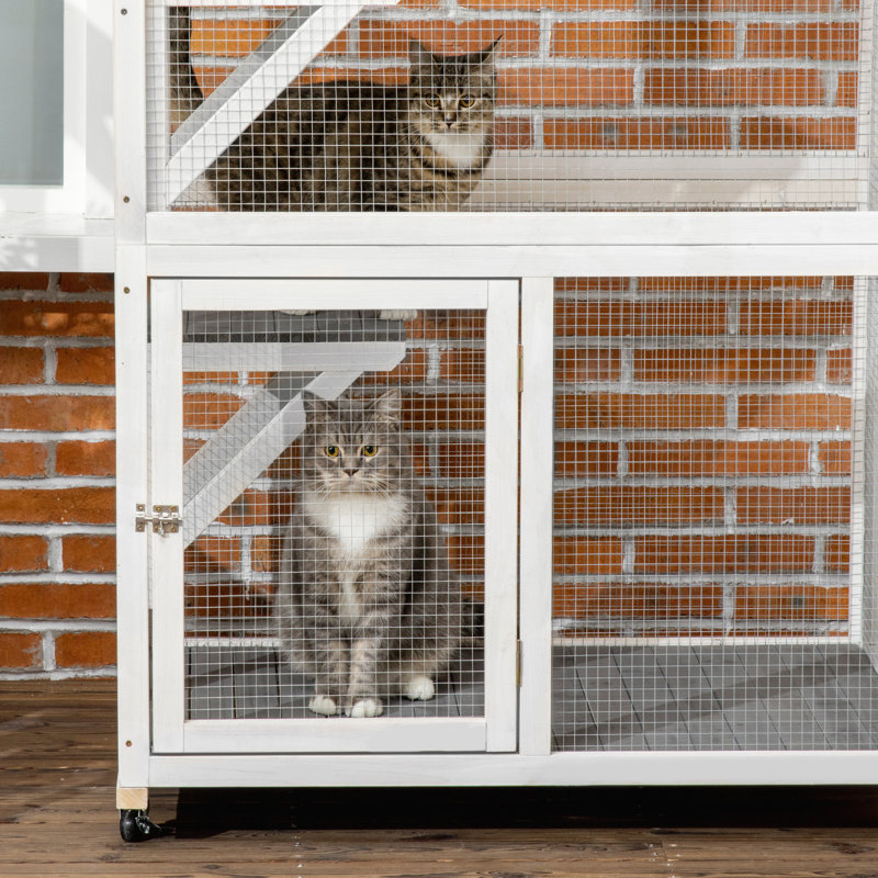 Maison pour chat polyvalente en bois avec des caractéristiques avancées pour un confort félin, Gris