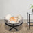 Stainless Steel Cat Desk Bed