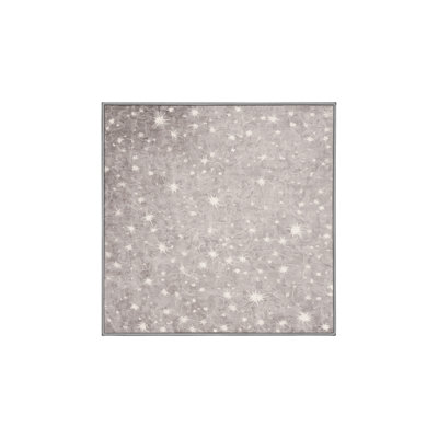 Tapis gris lavable à la machine