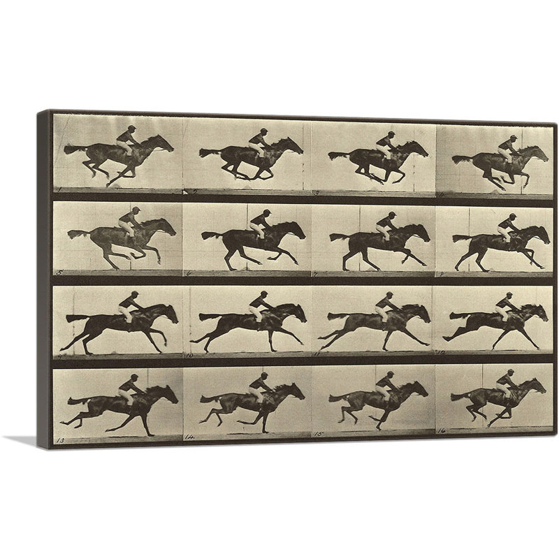 «Animal Locomotion, Race Horse» par Ead vêtementsd Muybridge, impression sur toile tendue, H 26 po x l 40 po x 1,5 po
