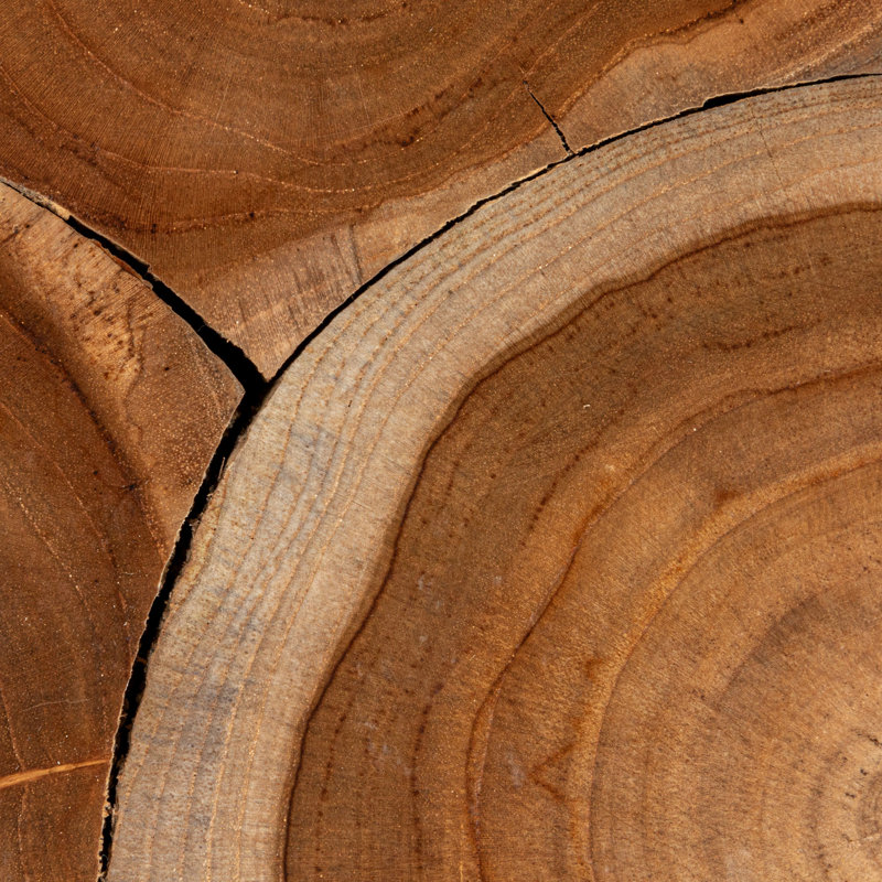Mesa Square Teak Root Slice End Table