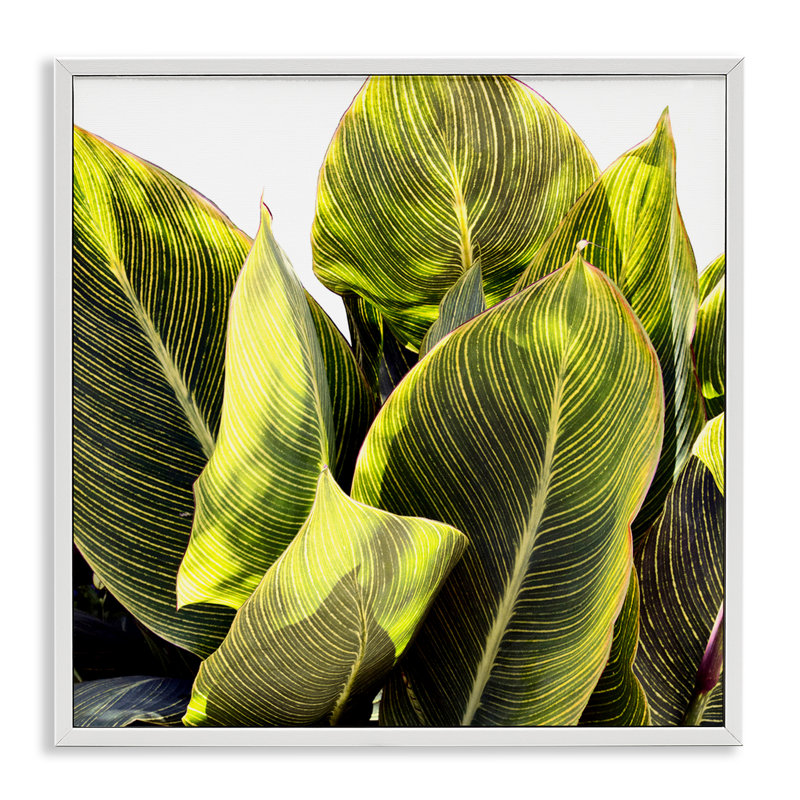 Feuilles tropicales vives encadrées, art numérique par Emily Navas, H 12 po x l 12 po x P 1,5 po