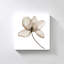 "X-ray Flower I" par Nan, reproduction sur toile-1845438299