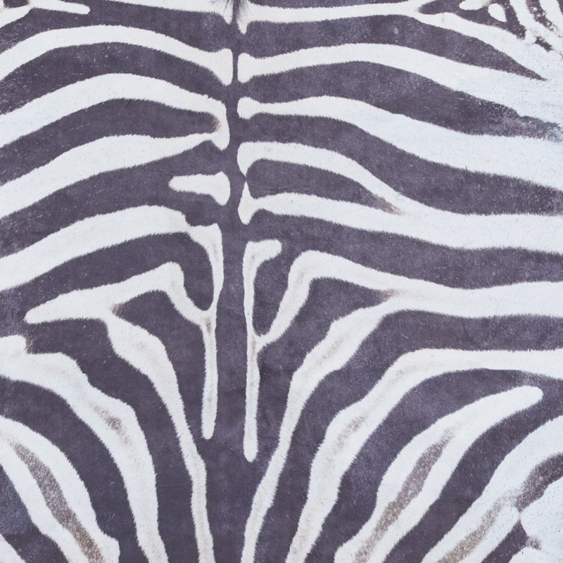 Animal Print Digitally Printed 195cm X 240cm Area Rug