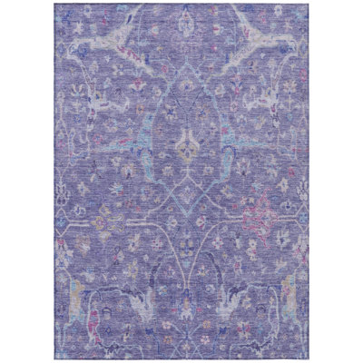 Machine Washable Indoor/Outdoor Kaczor ACN2232 Global Rug