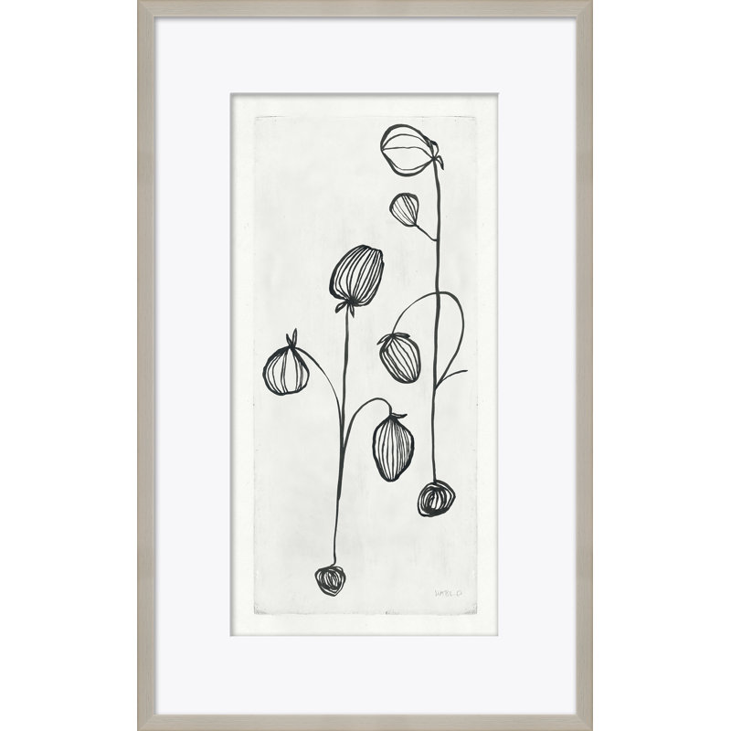 Garlic Giclee Print by Susan Hable