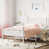 Rose est en rupture de stock