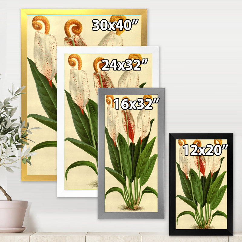 Fleurs rétro I - reproduction d'art sur toile, H 20 po x l 12 po x p 1 po, Noir