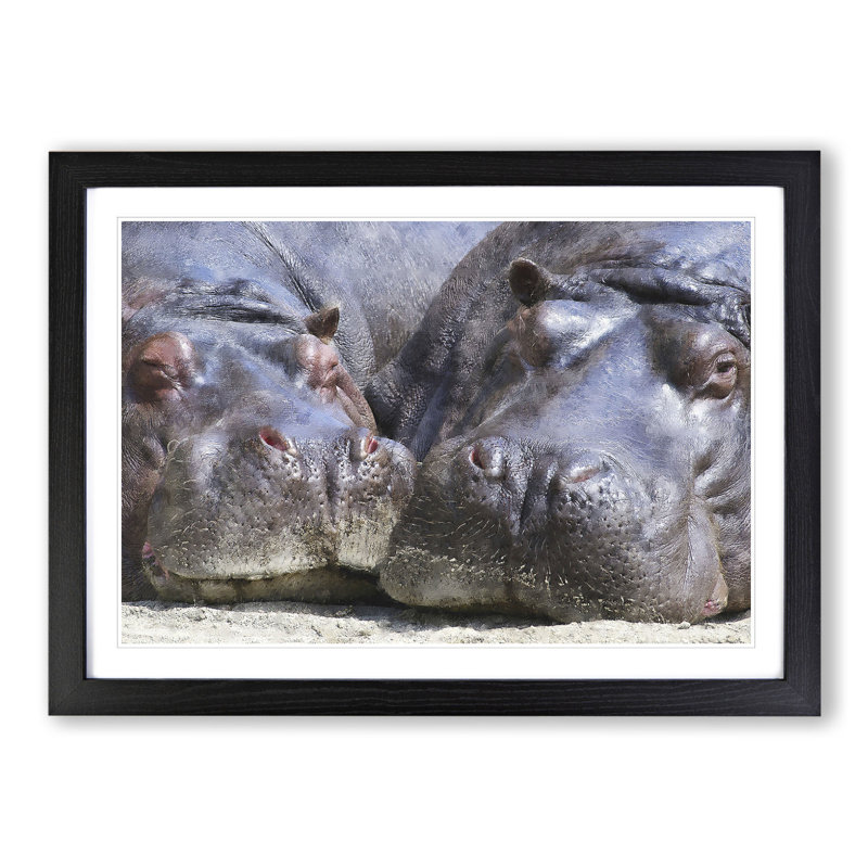 Two Hippos - Framed Print, 27cm H x 36cm W x 2cm D, Black Framed