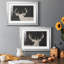 Brow Tine Deer I - ensemble de 2 reproductions de cadres photo-849279293-849279271