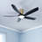 Lileah 5 - Blade LED Standard Ceiling Fan with Remote Control and Light Kit Included-1565808992
