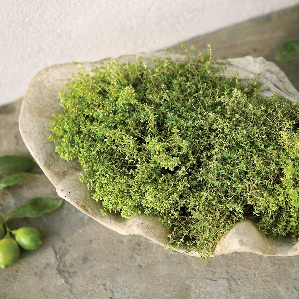 22" Pot Planter, Brownstone