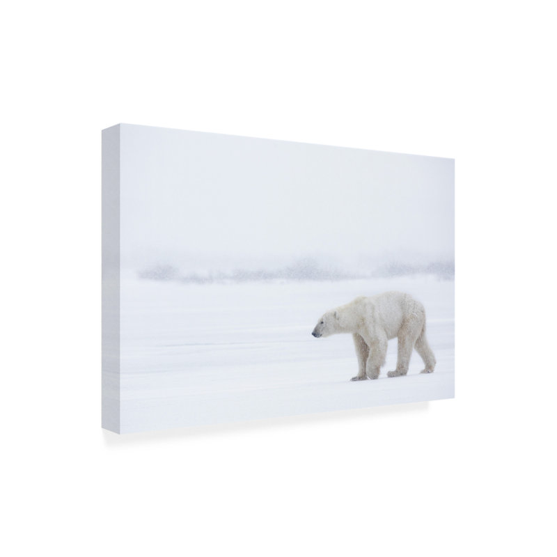 Art sur toile «Alessandro Catta» par Bachelo, H 22 po x l 32 po