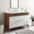 Render 48" Single Sink Bathroom Vanity-48362839