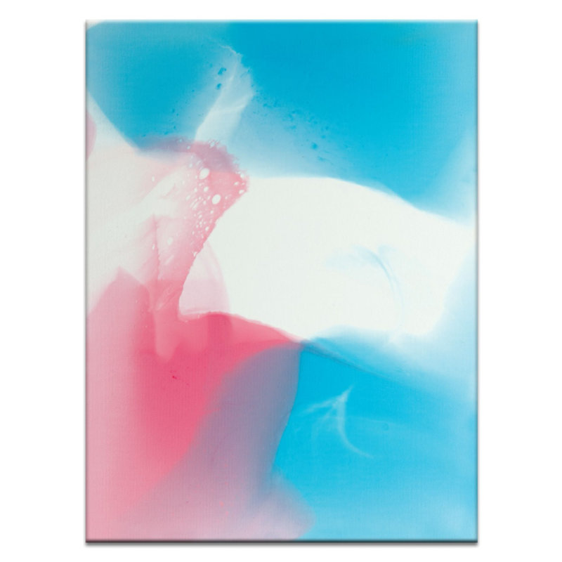 Chalie MacRae - Print on Canvas, 51cm H x 41cm W x 3.8cm D