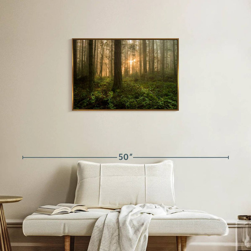 Lever de soleil sur la forêt de l'île Lummi, Cadre flottant doré, 31 po x 21 po