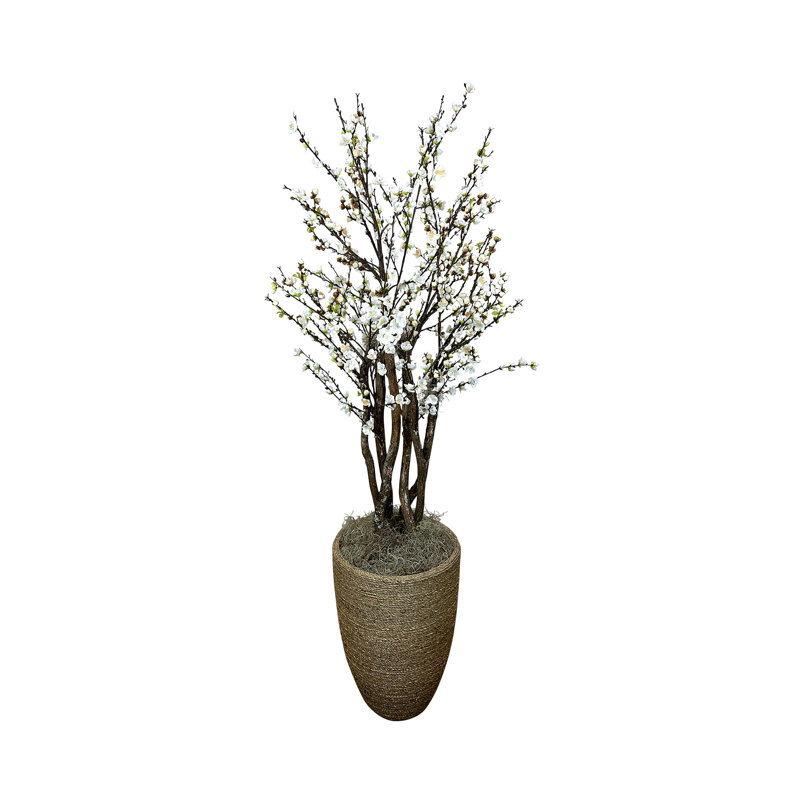 White Cherry Blossom Tree in Tan Pot, 73" H x 32" W x 32" D
