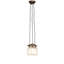 Rustic Lodge 3 - Light Pendant