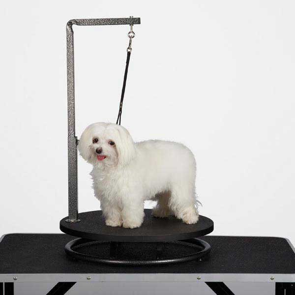 Table de nettoyage pour petit chien petedge, Noir