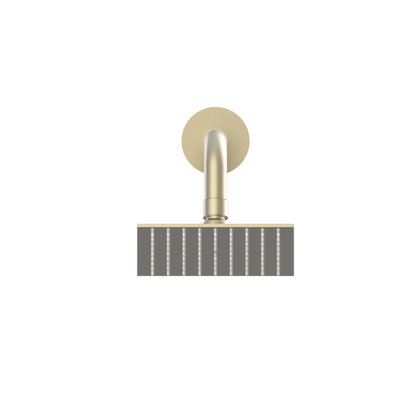Full/Standard Adjustable Shower Head 1.8 GPM GPM with Self-Cleaning