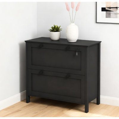 File Cabinet,2 Drawer Filing Cabinet With Adjustable Hanging Bar,For Home And Office