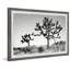 Mountain Top Trees - Single Picture Frame Print-1123460578