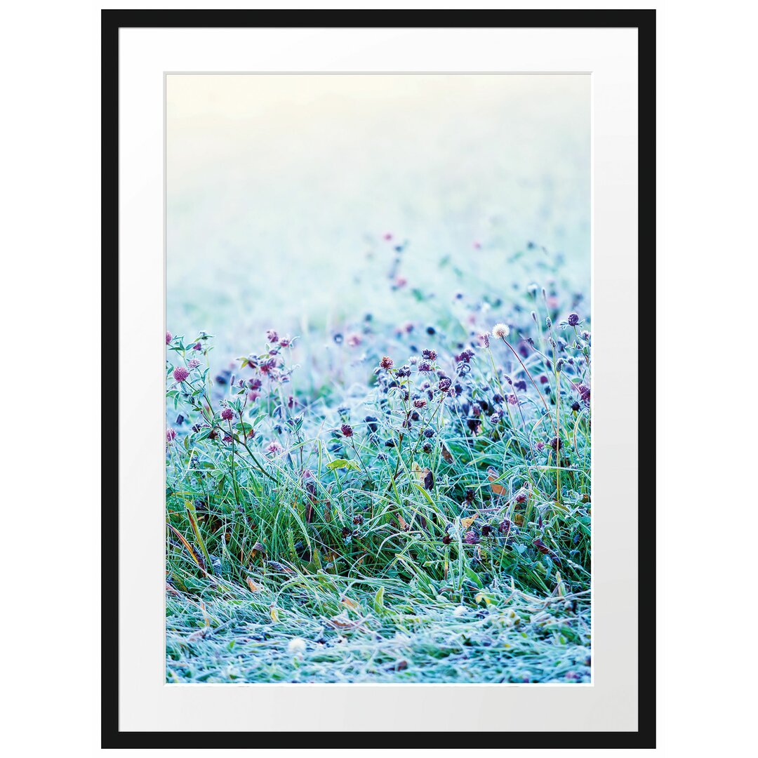 Gerahmtes Poster Wiese mit lila Blumen