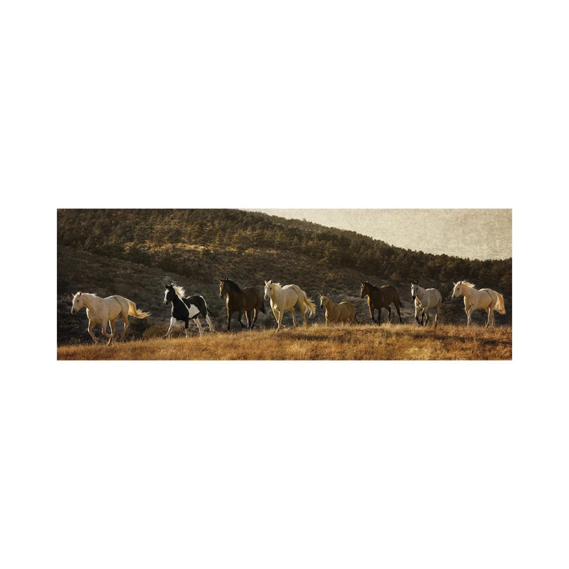 Coming Around The Mountian by Rhonda Thompson - Wrapped Canvas Panoramic Gallery-Wrapped Canvas Giclée