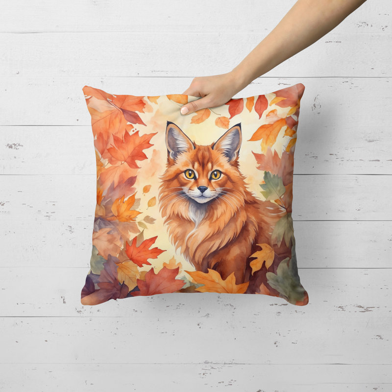 Coussin Somali, Carré 18 po