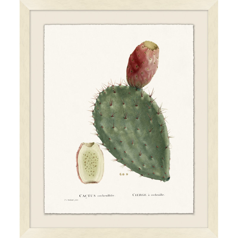 Blooming Cacti 2 Print by Nathan Turner