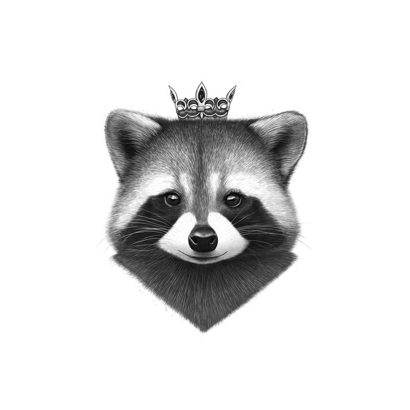Queen Raccoon by Valeriya Korenkova - Wrapped Canvas Print, 152.5 cm H x 101.5 cm W