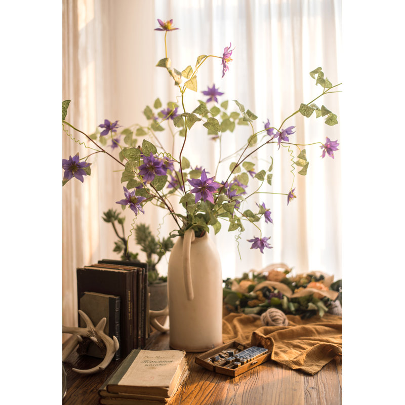 Tige de clematis allemande, Mauve