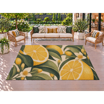 Tapis d'extérieur de 5 pi x 7 pi en PVC robuste et imperméable Lemon Grove