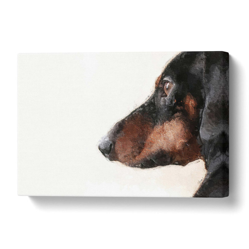 Dachshund Dog - Wrapped Canvas, 35 cm H x 50 cm W