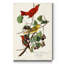 Pl 44 Summer Red Bird - reproduction sur toile tendue-883943105