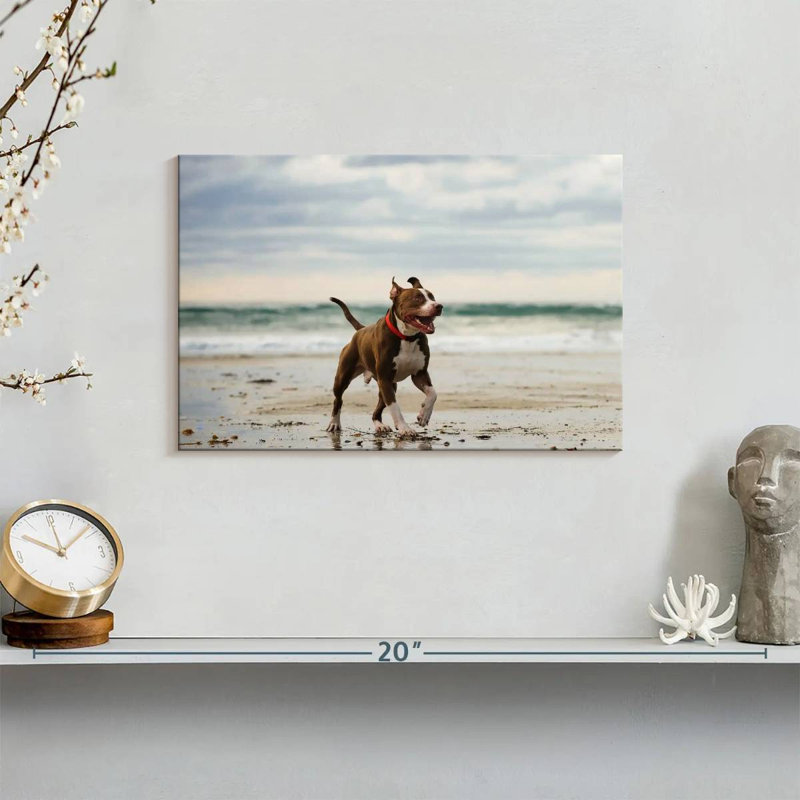 Brampt Pit Bull On Beach, 8" H x 12" W