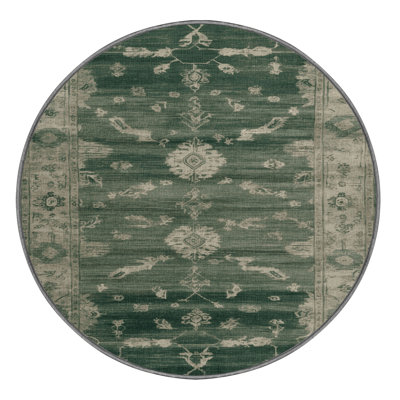 Machine Washable Overdyed Brown Area Rug