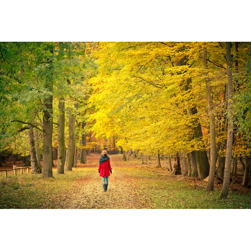 Walking In Autumn Park by Sborisov - Wrapped Canvas Print, 30cm H x 46cm W