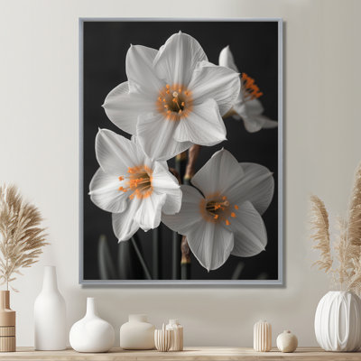 Monochromes blancs jaunes botaniques jonquilles I - jonquilles murales